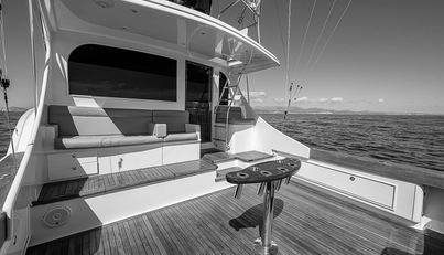 WILL RISE For Sale image33