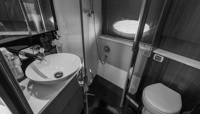 Matronic III For Sale image44