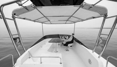 Cheers For Sale image10