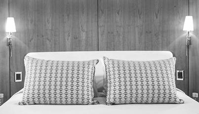 FROGGY For Sale image3