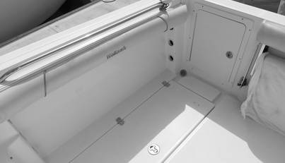 Delfini For Sale image15