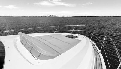 noname For Sale image91