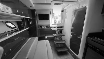 Freedom of the Seize For Sale image11