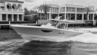 NINIPOP For Sale image4