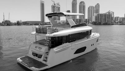 My Toy For Sale image11