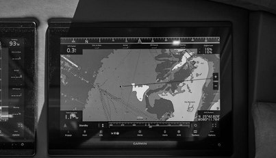 Bald Eagle For Sale image47