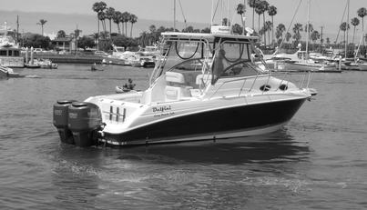 Delfini For Sale image8