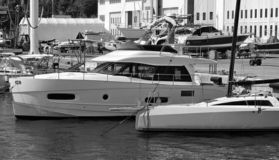 noname For Sale image17