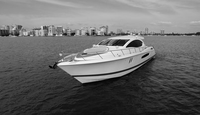 SALACIA For Sale image7