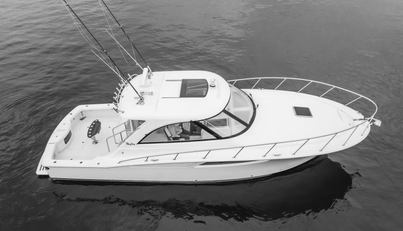 Commodore Two For Sale image30