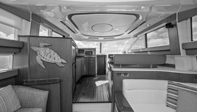 Gail’s Storm IV For Sale image42