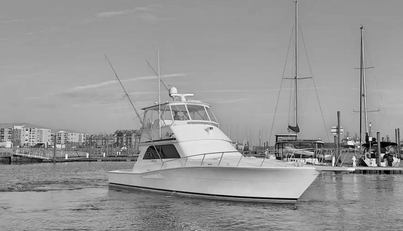 noname For Sale image3