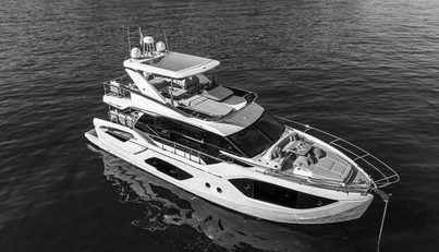 noname For Sale image4