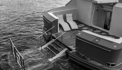 FLYING MANTA For Sale image3