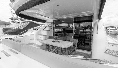 Enzo For Sale image6