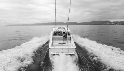 Commodore Two For Sale image5