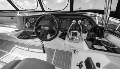Gail’s Storm IV For Sale image9