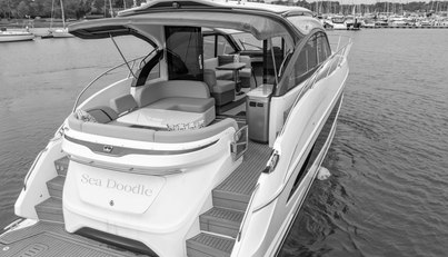 Seadoodle For Sale image31