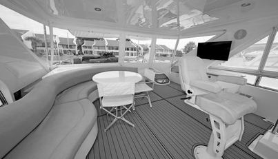 Southern Lady For Sale image16