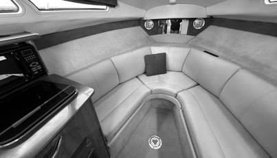 Mystique For Sale image19