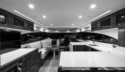 Greyhound For Sale image29