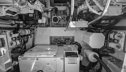 Rumble Bee For Sale image16