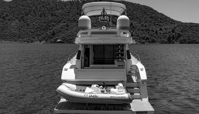 DUDU For Sale image11