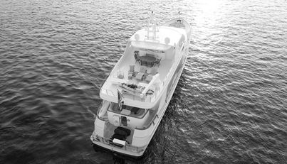 DOZER For Sale image4