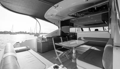 Greyhound For Sale image22