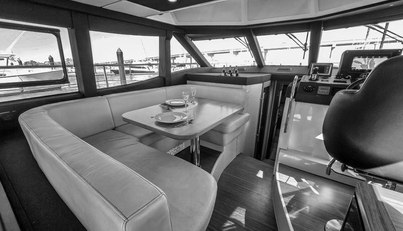 Rumble Bee For Sale image9