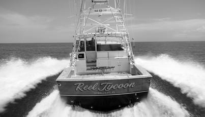 Reel Tycoon For Sale image9