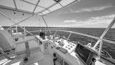 noname For Sale image20