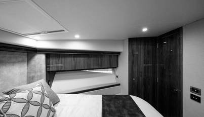 Greyhound For Sale image47