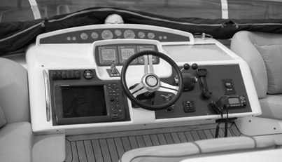 Enzo For Sale image104