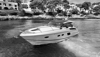 noname For Sale image3