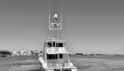noname For Sale image9