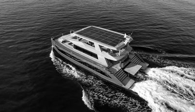 SITARA For Sale image2