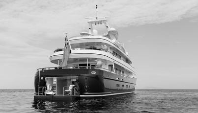 HERCULES For Sale image11