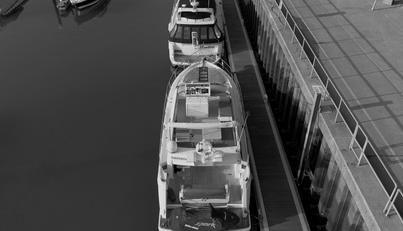 SERENITY For Sale image9