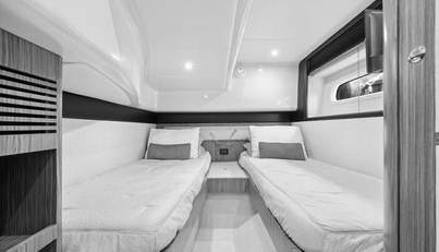 TANGERINE MOON For Sale image36