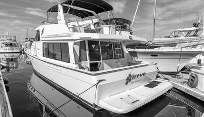 HYVE For Sale image3