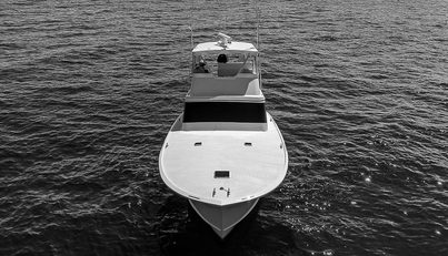 WILL RISE For Sale image5