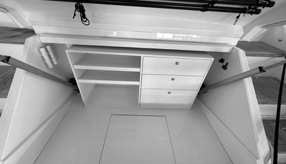 Bald Eagle For Sale image89