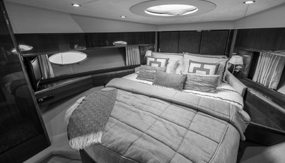 Enzo For Sale image96