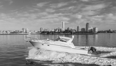 MISS MICHELLE For Sale image18