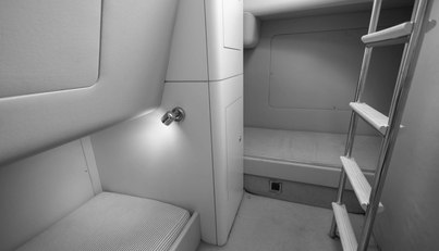 Enzo For Sale image71