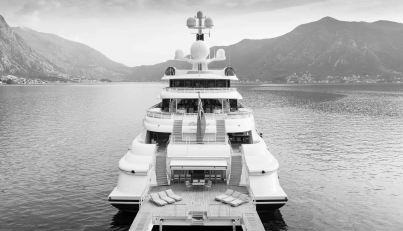 Pelorus For Sale image41