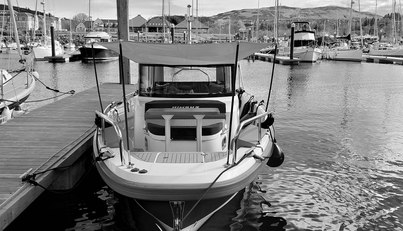 Endless Fun For Sale image17