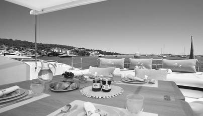 FROGGY For Sale image11