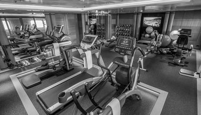 PELORUS For Sale image40